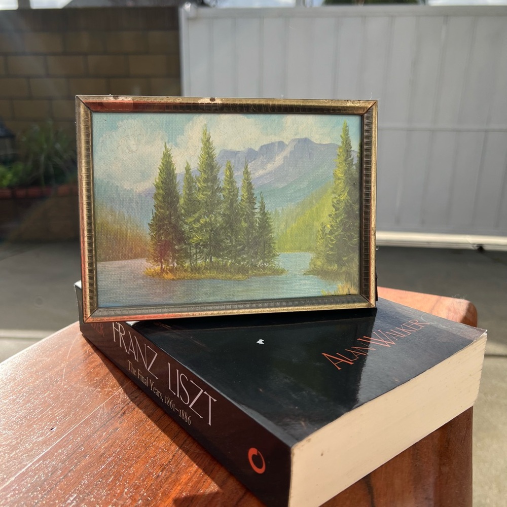 Original Signed Painting Handmade Dated 70s Mountain Scenery 7x5